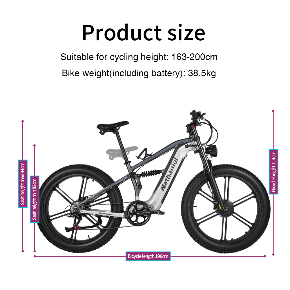 Nathaniel SYR09 Electric Bike  - огляд і ціна Dual Motor Ebike Kit 2000W